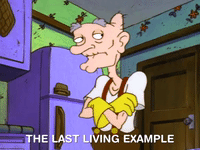 hey arnold nicksplat GIF