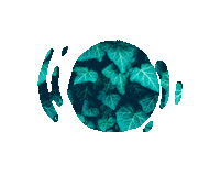 Tv Show Love Sticker by RTLZWEI