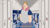 Airplane Bathroom GIF by Adult Swim