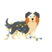 charlottepicciotto_illu dog christmas santa lights Sticker