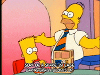 Season 1 GIF by The Simpsons