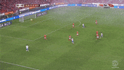 benfica GIF