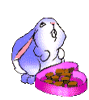 chocolate STICKER