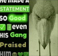 Dog Bird GIF