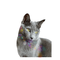 Loving Love Is Love Sticker