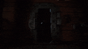 agents of shield jemma simmons GIF by ABC Network