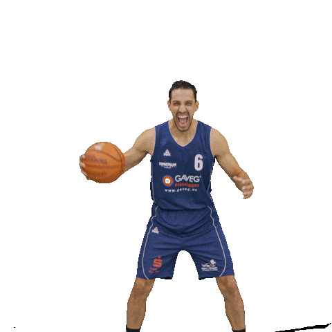 Bensheim Sticker by VfL Basketball