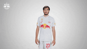 Bow And Arrow Football GIF by FC Red Bull Salzburg