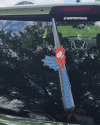 Dragon Tail Wipertags GIF by WiperTags Wiper Covers