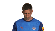 Look Up Holstein Kiel Sticker by Bundesliga