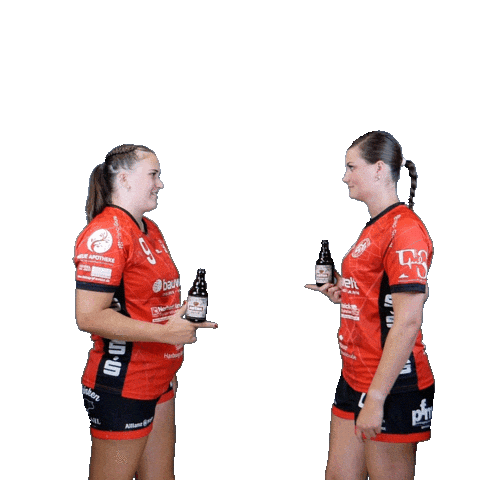 Handball Sticker by Hollenstedt-Handball