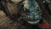 Dungeons And Dragons Dnd GIF by Dungeons & Dragons: Honor Among Thieves