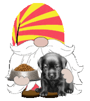 My Pet Dog Sticker