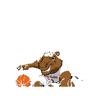 Buck Up Santa Clara University Sticker by Santa Clara Broncos