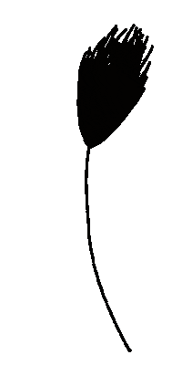 Schwarz Florals Sticker by Daniela Nachtigall