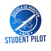 Fly Flying Sticker by aeroclubguatemala