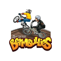 thebikeaholix bmx raceday usabmx bmxracing Sticker