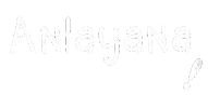 Anlayana Sticker