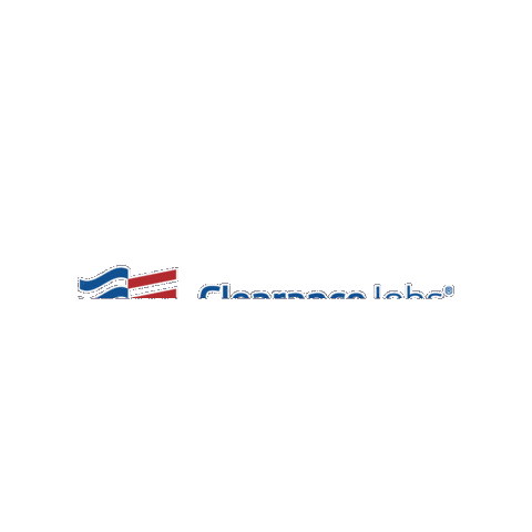 ClearanceJobs giphygifmaker top secret confidential security clearance Sticker