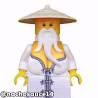 Master Wu GIF