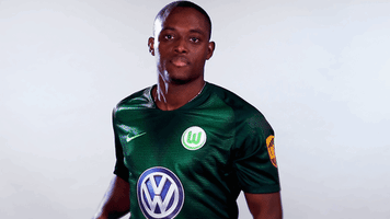 french football GIF by VfL Wolfsburg