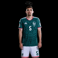 Fifa World Cup Mexico GIF by Respective