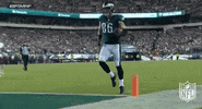 zach ertz football GIF by NFL