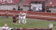 Regular Season Football GIF by NFL