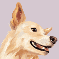 Love Dogs International Dog Day GIF by puppytales