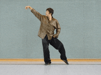 redtigerclub martial arts relaxing alignment tai chi GIF