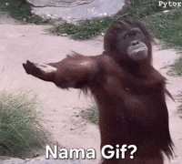 Pytor GIF