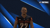 Cnfb GIF by Carson-Newman Athletics
