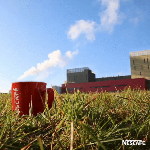 GIF by Nescafé Ecuador