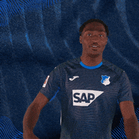 Sport Bundesliga GIF by TSG Hoffenheim