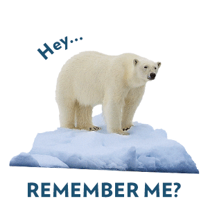 Polar Bear Earth Sticker by sodastreams