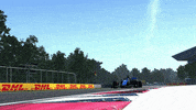 DecorusEsports dcrs decorus GIF