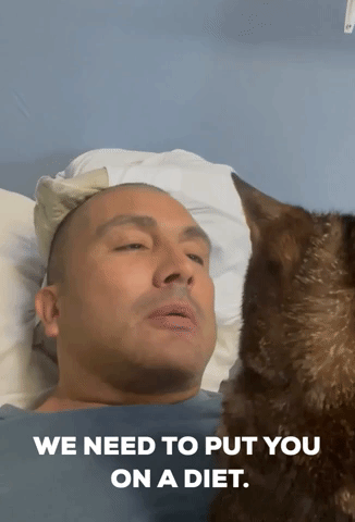 Feline Shows Cat-itude When Owner Mentions Diet