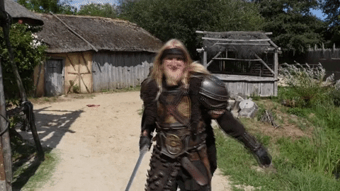 Viking Combat GIF by PuyduFou