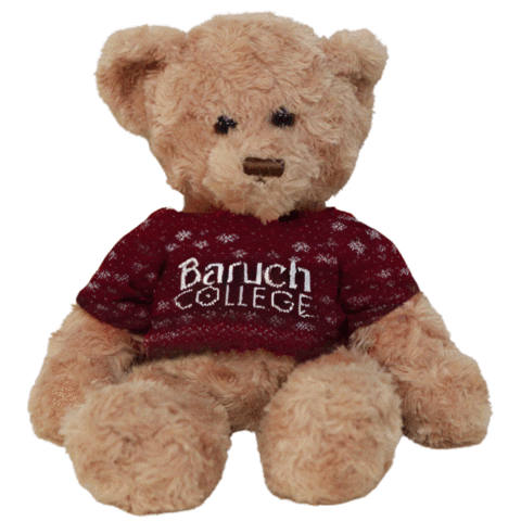 Happy Baruch College Sticker by Baruch Admission