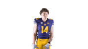 Ncaa Football Go Bears Sticker by Cal Athletics
