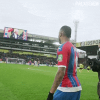 Premier League Win GIF by CPFC