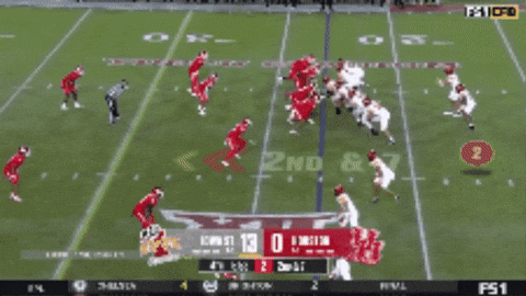 DBSports giphygifmaker GIF