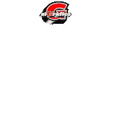 Gol Sticker by Grupo LPG