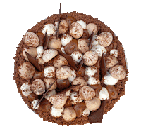 Food Chocolate Sticker by foodbabyny