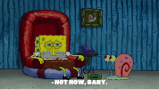 season 9 little yellow book GIF by SpongeBob SquarePants