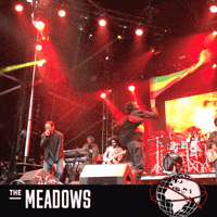 GIF by The Meadows NYC