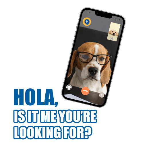 International Dog Day Sticker by PEDIGREE US
