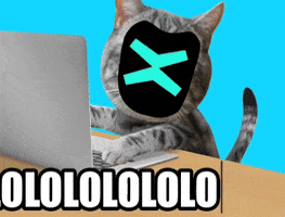 Cat Lol GIF by MultiversX