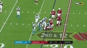 Fish Fishing GIF by Carolina Panthers
