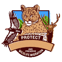 Camping Climate Change Sticker by INTO ACTION